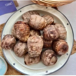 牛奶小芋头 黑框净重35斤