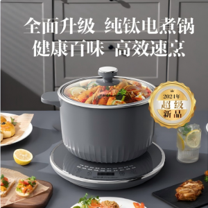 多功能电火锅DZG1580T