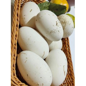 沙颍河鹅蛋150g