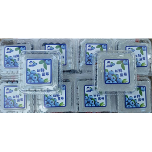 蓝莓100g