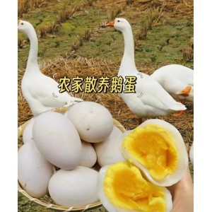 周口沙颍河新鲜鹅蛋(5-7枚)750g/份